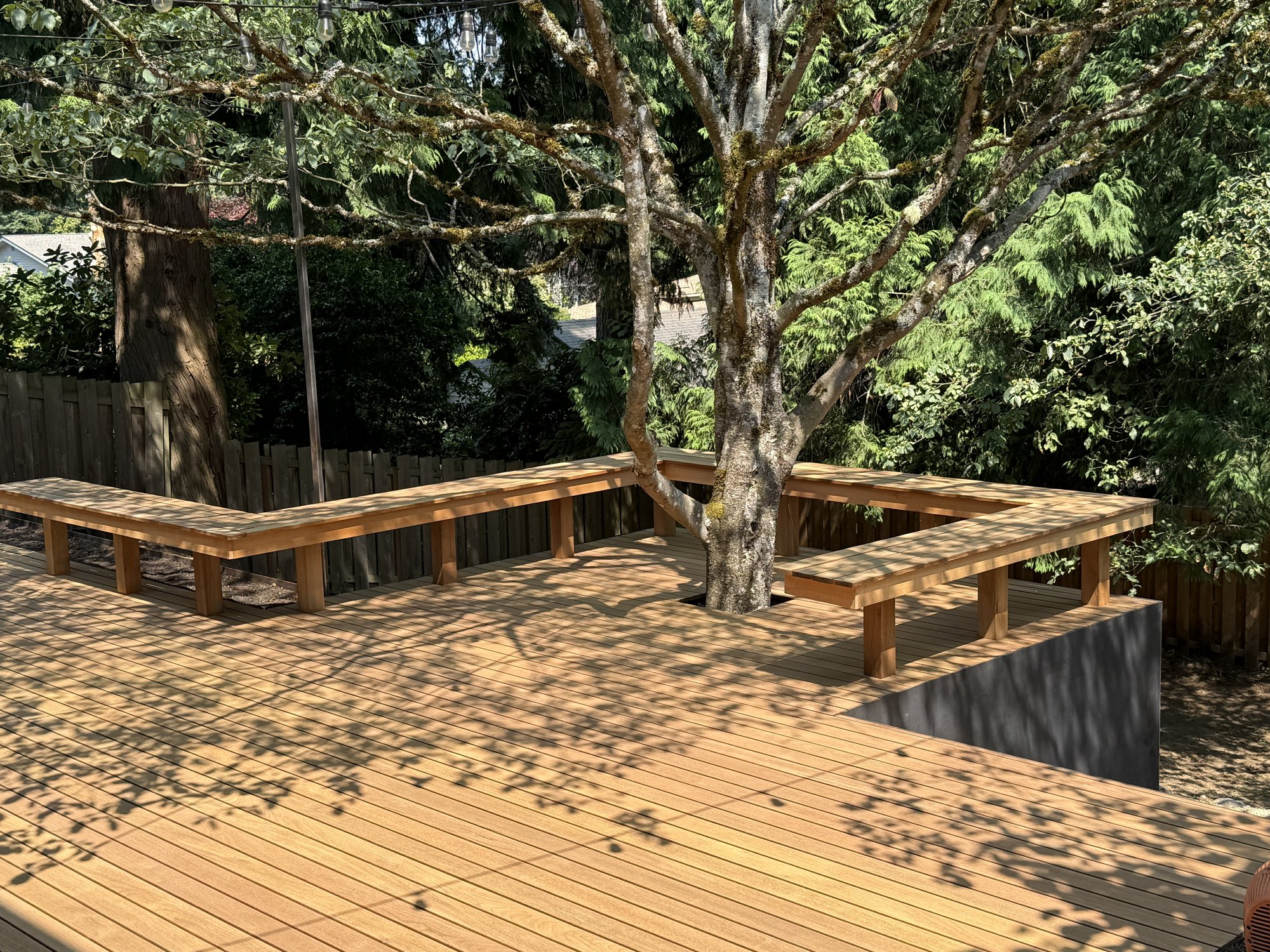 Ipe deck with wrapping benches around a tree