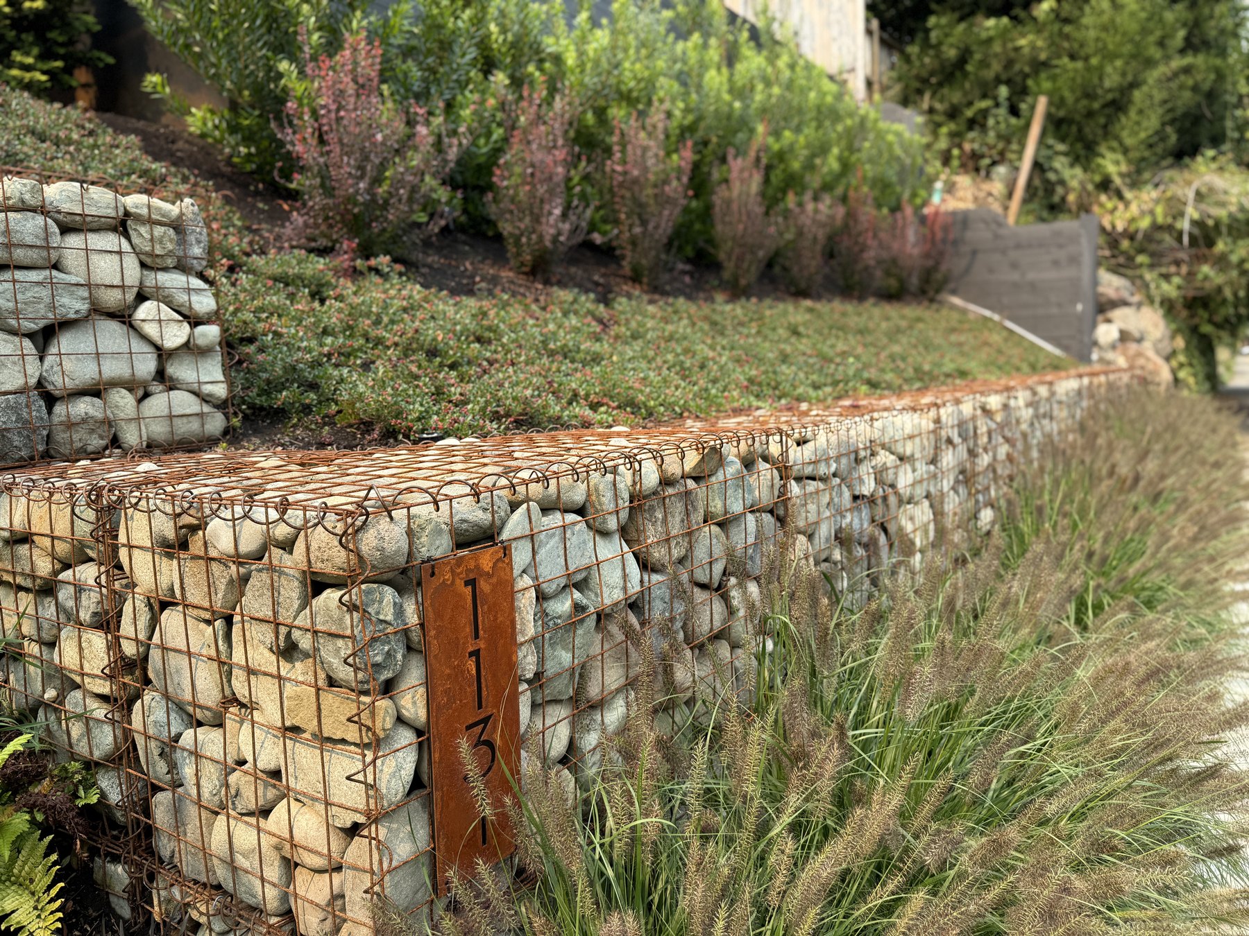 Madison Park gabion wall and plantings